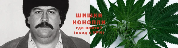 мяу мяу мука Бородино