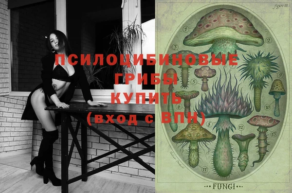PSILOCYBIN Бронницы