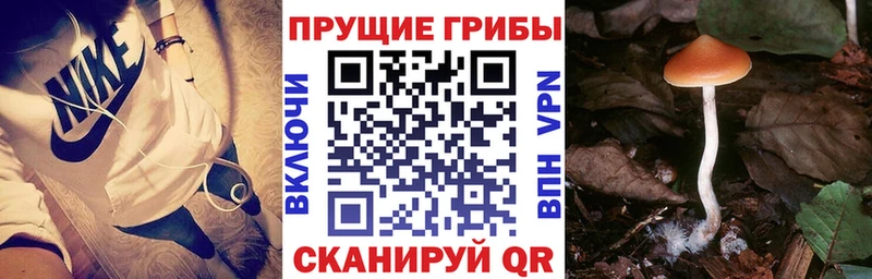 Псилоцибиновые грибы Magic Shrooms  что такое   Нижнекамск 