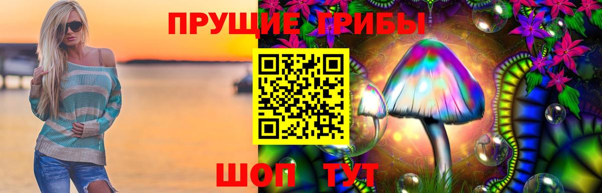 Нижнекамск  Галлюциногенные грибы Psilocybe  Вход с VPN 
